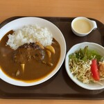 洋風居酒屋サルーテ - ハンバーグカレー