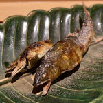 銀座 しのはら - ⑥鮎の炭火焼（琵琶湖産、郡上八幡産の食べ比べ）～琵琶湖産は流れがないので脂がのってふっくらしている。長良川産は川の流れがあり野趣が溢れた筋肉質の味わい。"鮎は川の状態によって味わいも変わる"。