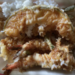 Tendon Tenya - 