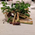 カンテサンス - 