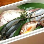 Mukashi Banashi - 豊洲より直送！鮮魚については、その日の仕入れにて日替わりにて提供いたします。