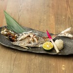 甜鹽烤五島近海天然竹莢魚