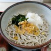 さんさろうどん - 地粉うどんぶっかけ¥810