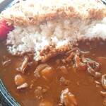 道の駅 サロマ湖 - サロマ豚カツカレー