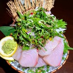 NEMOTO.LABO - 和食：かんぱちのお刺身