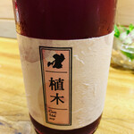 花小町 - 赤　キュベ植木2017 キャンベル