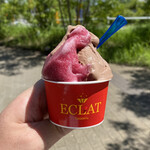 ECLAT - 悪魔のチョコレート、ぶどうソルベ