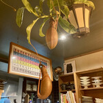 文化商店 - ウツボカズラ(食虫植物)と漢方薬の額装。