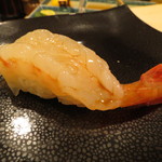 鮨 福原 - ボタンエビ