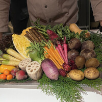 レフェルヴェソンス - 