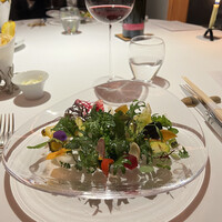 レフェルヴェソンス - 