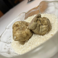 レフェルヴェソンス - 