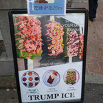 TRUMP ICE - 