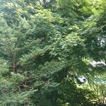 Yutoriro Karuizawa Hotel