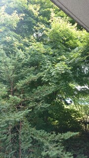 Yutoriro Karuizawa Hotel