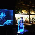 AQUARIUM - 