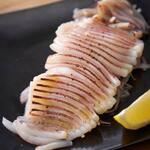 Grilled squid sashimi