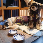 MUTO - ワンコのサイズを伝えたら、ゆったりとしたスペースのテーブル席に案内してもらえました♪