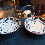 MUTO - ワンコ用のお水