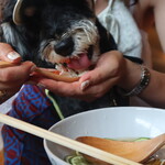 MUTO - ワンコメニューを食べる、にいたんワンコ