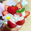 Hono Buono no Crepe Yasan Ichigo no Hana - いちごカスタード生クリーム