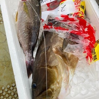 Arrived daily from Kanezaki Fishing Port in Fukuoka Prefecture! Served freshly prepared from the in-store fish tank