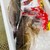 炉ばた 高 - 料理写真: