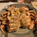 シロクマ食堂 - 