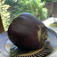 イル ギオットーネ 京都本店 - 