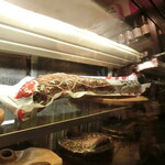 ペル・パラッツォ - イタリアのサラミソーセージ入荷