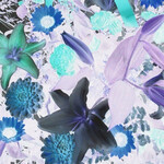 ゴーディーズ  - 