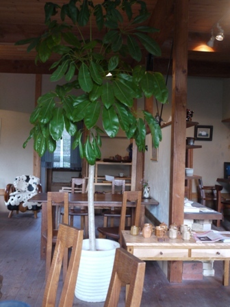 蒼 広木 コーヒー専門店 食べログ