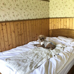 ガーデンリゾート淡路島 ハナアンドキッス - 