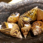 すしの助 - バイ貝煮付け