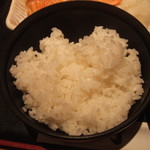 kawarizushitoumaisakanasushiyaicchou - ご飯