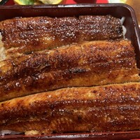 炭焼 うな富士 有楽町店 - 