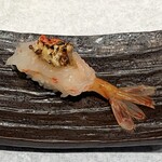 牡丹虾