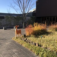 賛否両論 名古屋 - 