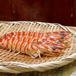 兄弟寿し - 聖籠町 天然車海老