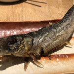 炭劇場 徳永座 - 大トロいわし