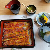 東京竹葉亭 南御堂店 - 鰻丼（鰻重）　楓