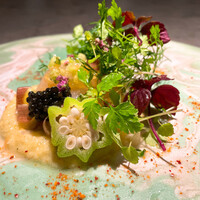 TOSAGE - 