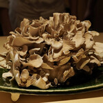 鳥匠いし井ひな - 