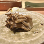 鳥匠いし井ひな - 