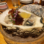 博多ほたる 西中洲本店 - 岩牡蠣 湯引き