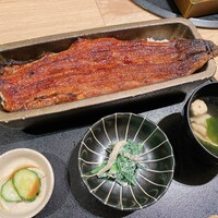 うなぎ四代目菊川 ムスブ田町店 -  うなぎ四代目菊川 ムスブ田町店 -