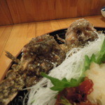 小笠原 - おこぜのお刺身