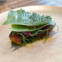 aru - 九重栗南瓜