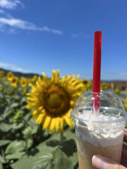 ひまわりカフェ - 笠岡/ジェラート・アイスクリーム | 食べログ