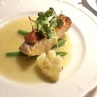 スンガリー 新宿東口本店 - 